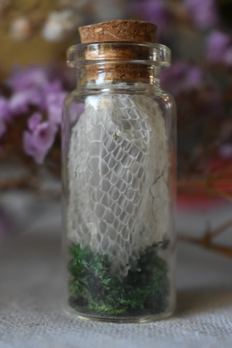 Naturally shed skin brazilian - skin,