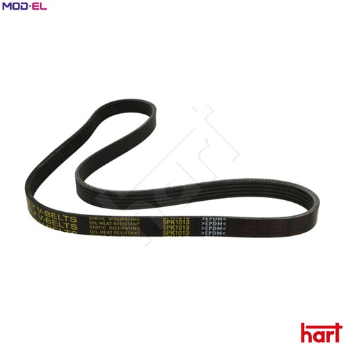 Vribbed belt 305 - vribbed,