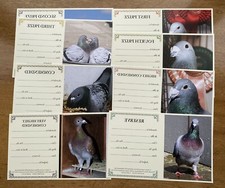 SHOW PIGEON AWARD PRIZE CARDS