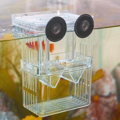 Autuuckee fish breeding - autuuckee, box