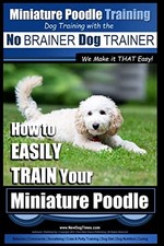 Miniature Poodle Training |