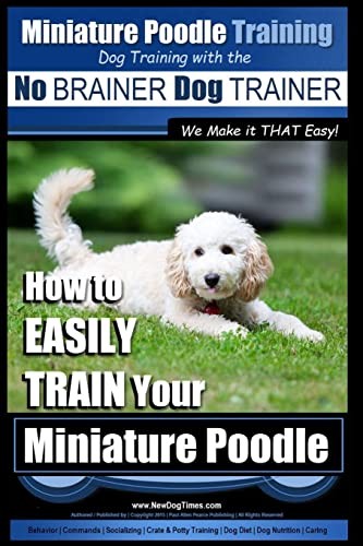 Miniature poodle training - miniature,