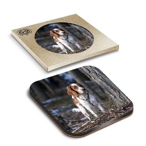 Boxed square coasters - coasters,