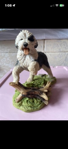 Teviotdale old english sheep - english,