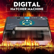 Digital egg incubator - digital, 12