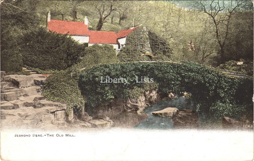 Jesmond dene the old mill - jesmond,