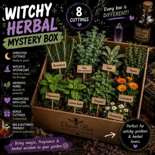 Witchy herbal mystery box - herbal,