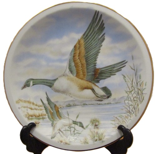 Ducks 1 bird - bird, collectable