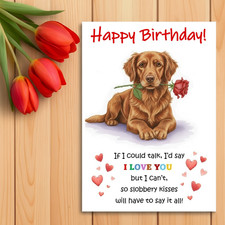 Chesapeake Bay Retriever