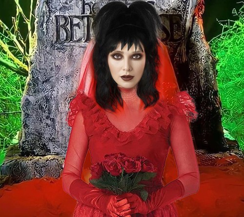 Lydia deetz wig costume - wig,