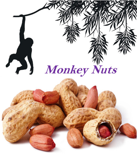 Monkey nuts peanuts shells - nuts, in