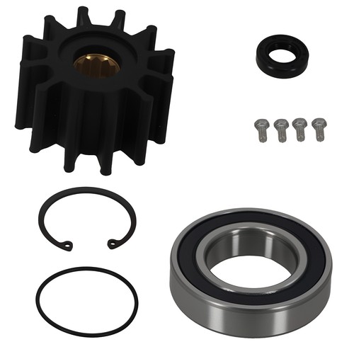 Raw sea water pump repair - sea,