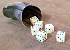 Set of 6 Rare Camel Bone D6