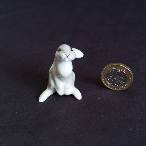 Lomonosov lfz rabbit - rabbit, miniature