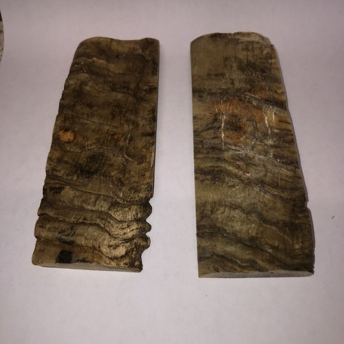 Pair ram horn - ram, scales
