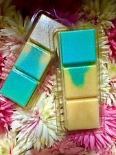 Wax Melts Snap Bars Various Highly Scented Perfume Designer Fruity Laundry Clean