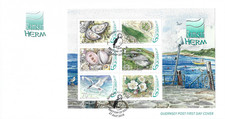 2016 Guernsey Ramsar Herm Miniature Sheet First Day Cover