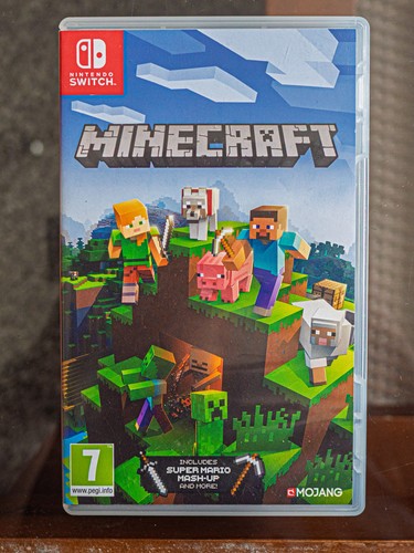 Nintendo minecraft bedrock - minecraft,
