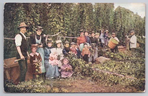 Postcard antique hop picking - hop,