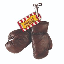 Vintage Boxing Gloves 8oz