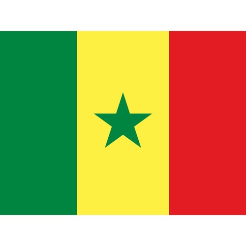 Senegal national flag - senegal,