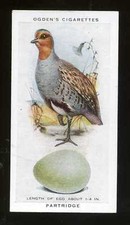 Ogdens 1939 British Birds and Eggs Partridge no 26