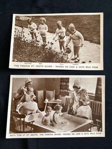 Postcard the famous neots - ,