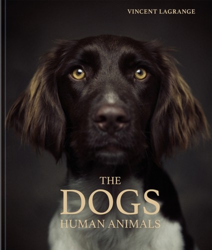 The dogs human animals - dogs,