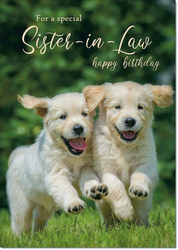 Doodlecards sister law - doodlecards, sister-in-law