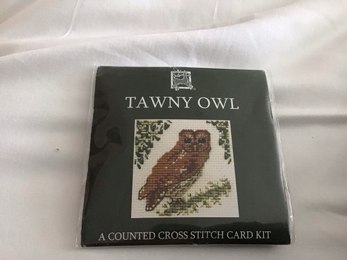 Tawny owl embroidery kit - owl,