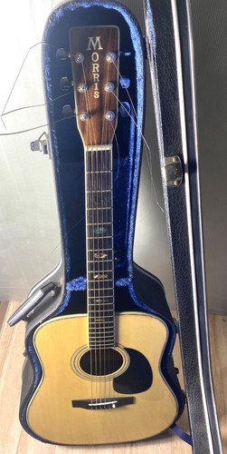 Vintage morris acoustic - morris,