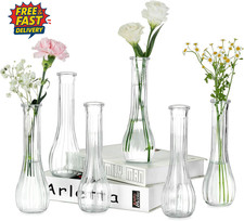 Glass Bud Vases for Flower: 6