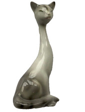 SILESIAN SIAMESE Grey CAT