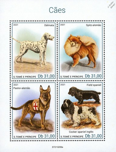 Dogs dalmatian spitz german - dogs, (dalmatian/spitz/german
