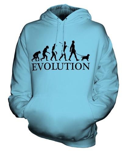 Field spaniel evolution man - spaniel,