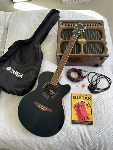 Vintage acoustic electric - vintage,