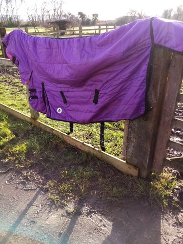 Derby house 200g medium - 6'0,