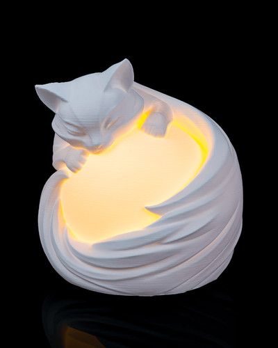 Sleeping cat lamp unique - cat,