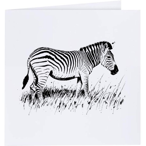 Zebra grazing grass - grazing, on