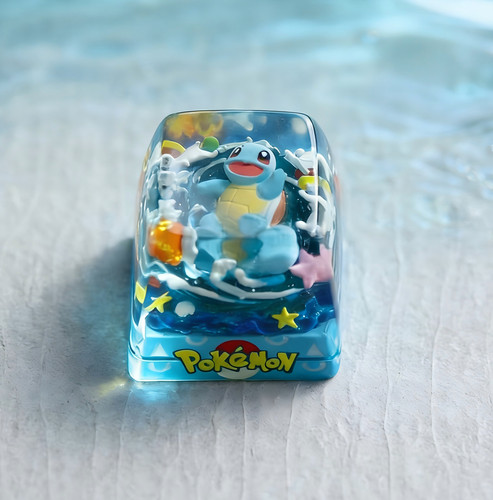 Pokémon squirtle artisan - pokémon,