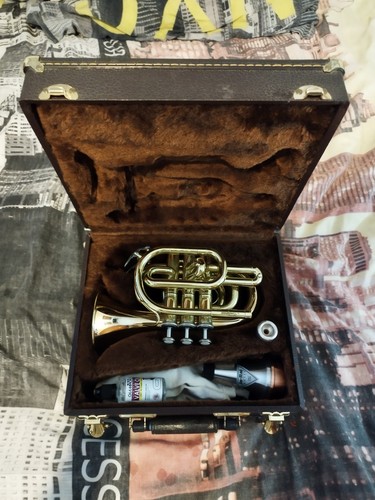 Pocket trumpet with - pocket, (antigua)