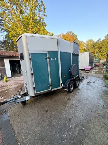 Ifor williams hb505r - ifor, horse
