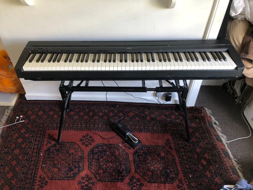 Yamaha p45b weighted - weighted, action