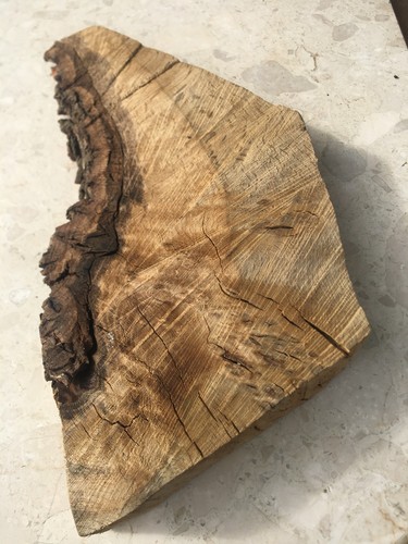 English oak spalted live - spalted, waney