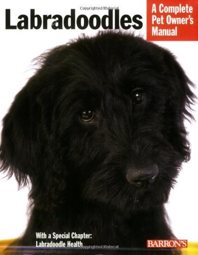 Labradoodles barron s - labradoodles, (barron's