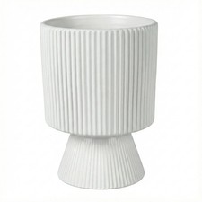 Ceramic Cement Indoor Plant