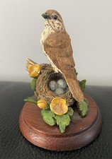 Border Fine Arts - Mini Song Thrush And Nest