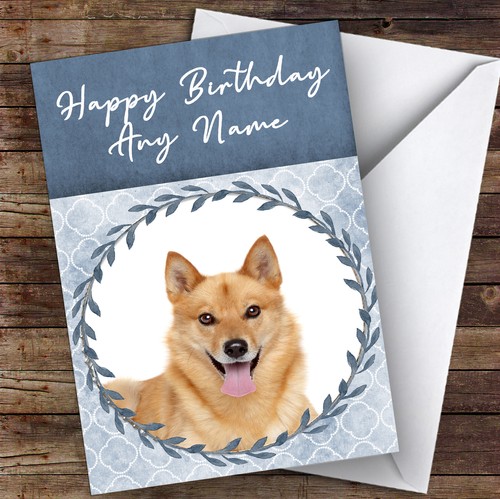 Finnish spitz dog blue - dog,
