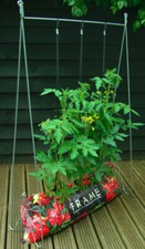 Tomato Pea Grow Frame Planter