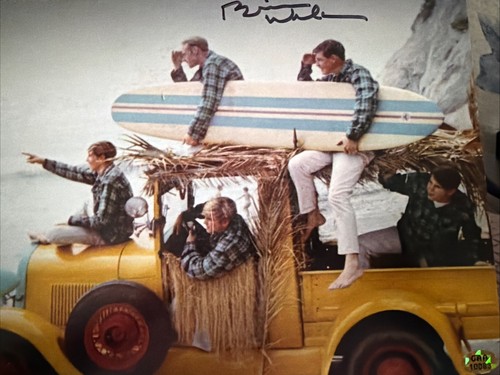 Beach boys brian - boys,